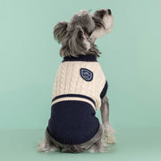 Thickened Warm Stretch Dog Sweater – Cozy Winter Knit for Pets UK PET HOUSE
