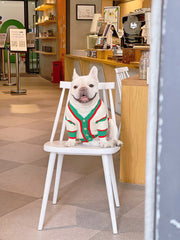 Striped Knitted Winter Pet Sweater – Warm Dog & Cat Cardigan for Bichon, Schnauzer & Small Breed UK PET HOUSE