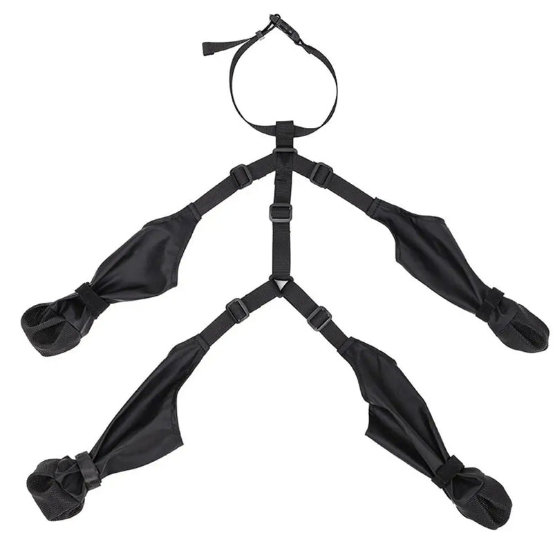 Dogs - Outdoor Gear