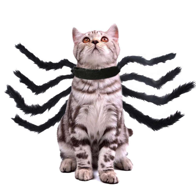 Multi-Color Halloween Spider Costume for Cats & Dogs – Creative Pet Outfit UK PET HOUSE