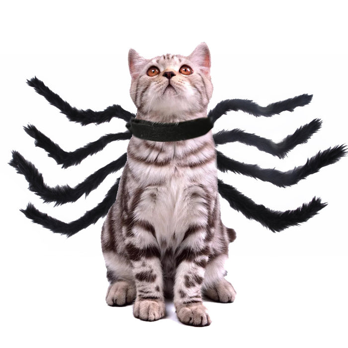 Multi-Color Halloween Spider Costume for Cats & Dogs – Creative Pet Outfit UK PET HOUSE