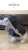 Halloween Pet Cloak – Spooky Death Cape Costume for Cats & Small Dogs DOG n KITTY