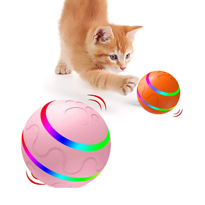 Wicked Intelligent Ball USB Pet Toys (Remote control) UK PET HOUSE