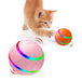 Wicked Intelligent Ball USB Pet Toys (Remote control) UK PET HOUSE