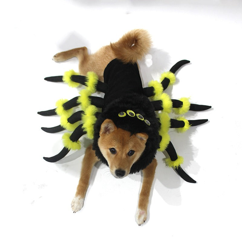 Pet Cat Dog Halloween Spider Costume eprolo