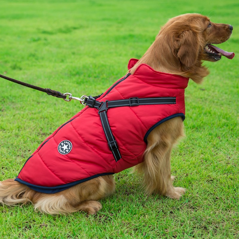 Pet Dog & Cat Winter Hooded Coat Jacket UK PET HOUSE
