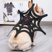 Halloween Spider Web Costume – Cat & Dog Outfit for Spooky Dress-Up DOG n KITTY