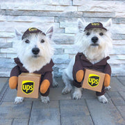 Funny UPS & Express Pet Dog Cat Costume – Delivery Outfit for Small Dogs and Cats UK PET HOUSE