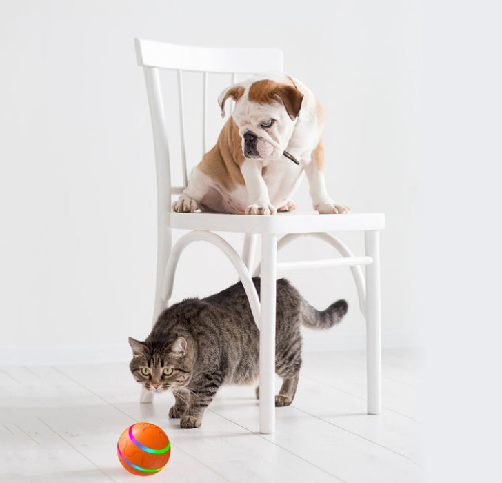 Wicked Intelligent Ball USB Pet Toys (Remote control) UK PET HOUSE