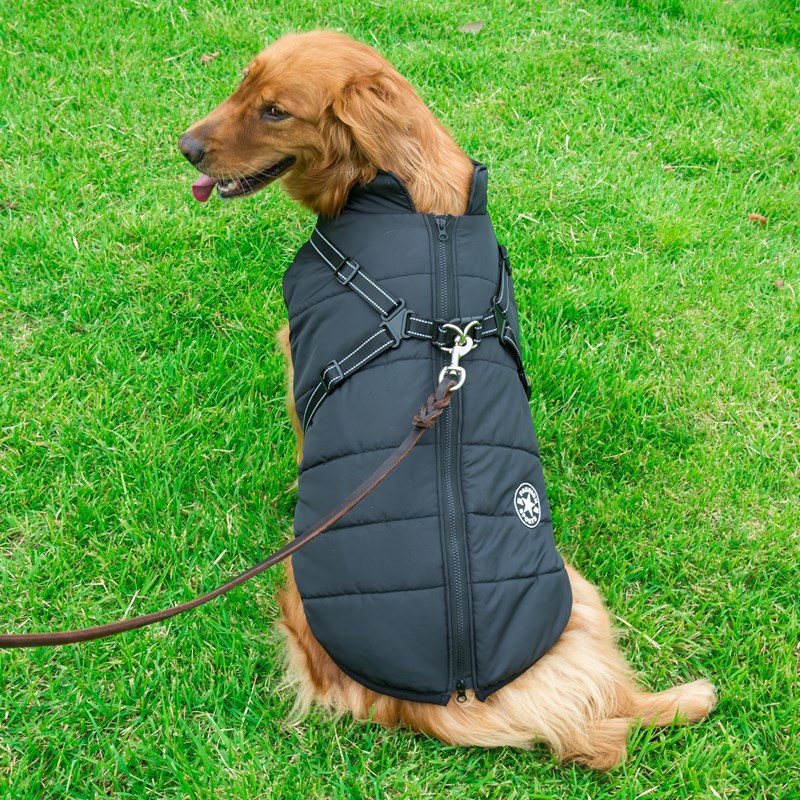 Pet Dog & Cat Winter Hooded Coat Jacket UK PET HOUSE