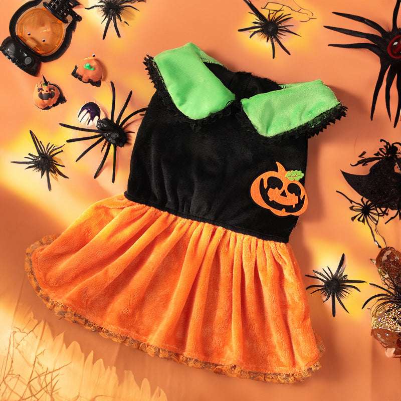 Pet Cat Dog Halloween Classic Pumpkin Skirt & Halloween Pumpkin Sweater Hoodie Unbranded