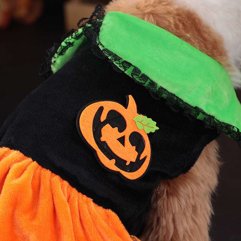 Pet Cat Dog Halloween Classic Pumpkin Skirt & Halloween Pumpkin Sweater Hoodie Unbranded