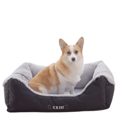 A Universal Cool Pet Bed UK PET HOUSE