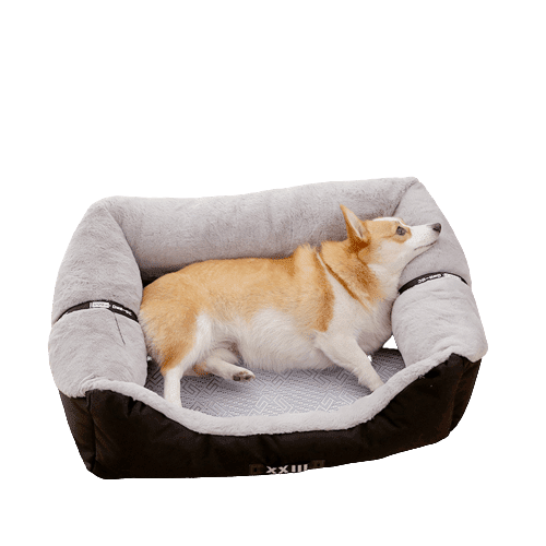 A Universal Cool Pet Bed UK PET HOUSE