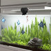 AF-2009d Automatic Aquarium Feeder UK PET HOUSE