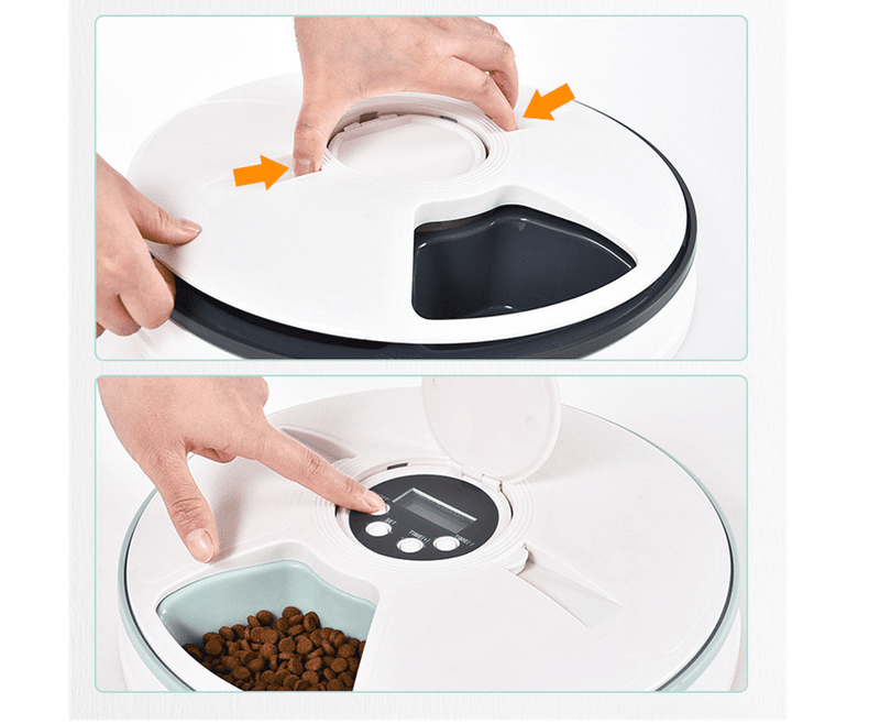 Automatic Pet Feeder With Six Meal Grids UK PET HOUSE