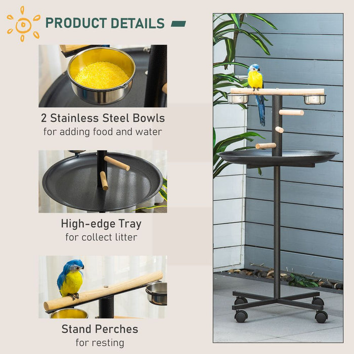 Bird Play Stand Portable Feeder Station w/ Wooden Perches, Stainless Steel Bowls UK PET HOUSE