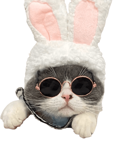 Cat Props UK PET HOUSE