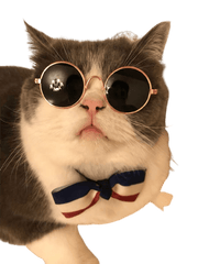 Cat Props UK PET HOUSE