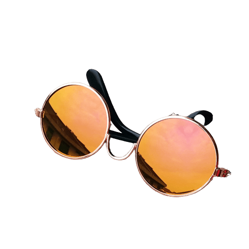 Cat Props UK PET HOUSE