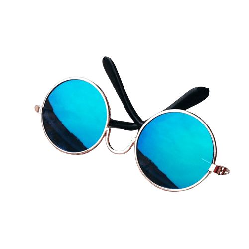 Cat Props UK PET HOUSE