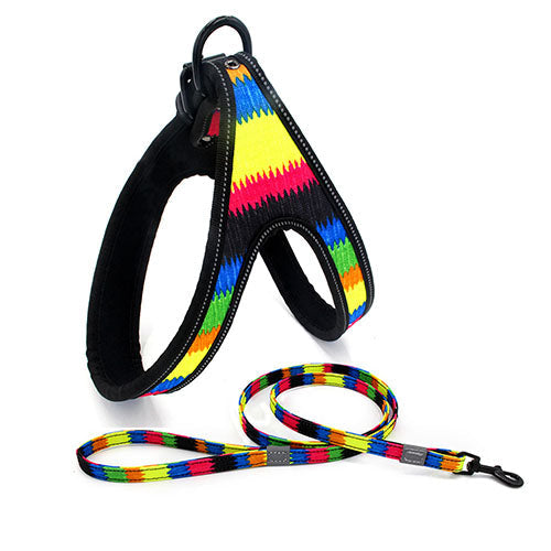 Colorful Dog Leash & Walking Rope UK PET HOUSE