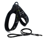 Colorful Dog Leash & Walking Rope UK PET HOUSE