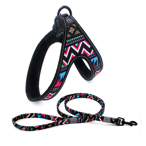 Colorful Dog Leash & Walking Rope UK PET HOUSE