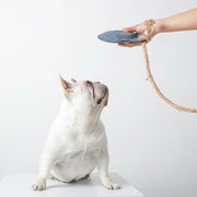 Cowhide Frisbee Dog Toy UK PET HOUSE