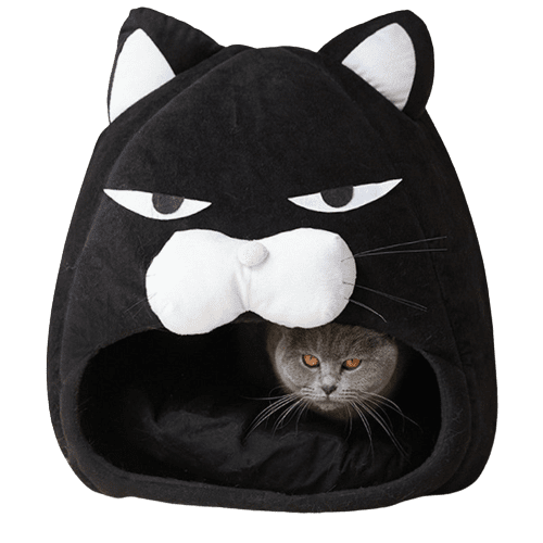 Cozy Cat Shaped Bed for Pets UK PET HOUSE