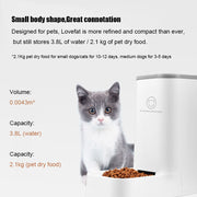 Detachable Pet Auto Food & Water Feeder UK PET HOUSE