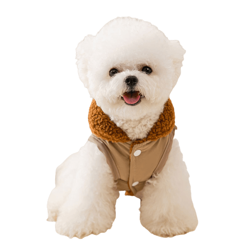 Dog Coffee Colored Sweater UK PET HOUSE