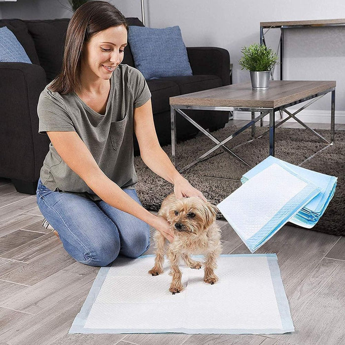 Dog Puppy Training Super Absorbent Pee Pads Disposable Fast Drying Mat Leakproof UK PET HOUSE