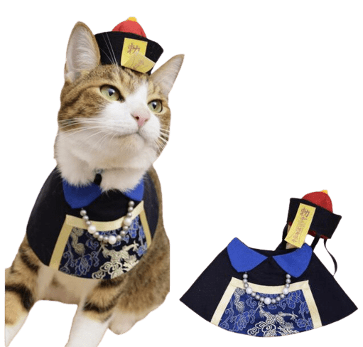 Duke Suits for Cats UK PET HOUSE