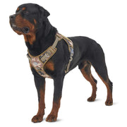 Medium To Large Dog Chest Strap Velcro Dog Tactical Vest Pet Chest and Back Traction Rope eprolo