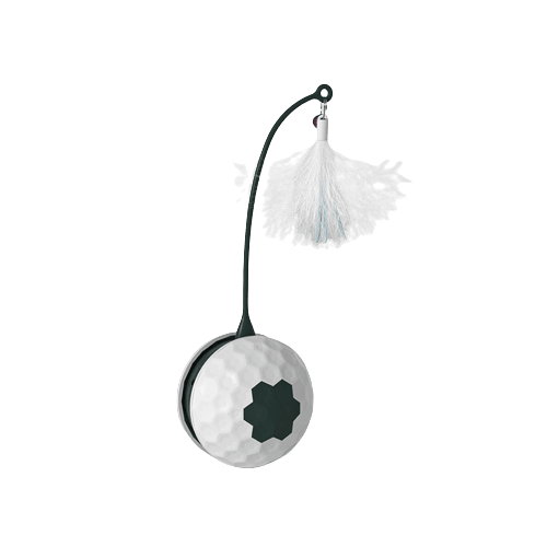 Electric Intelligent Bite Resistant Pet Toy (White & Black) UK PET HOUSE