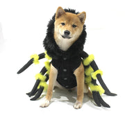 Pet Cat Dog Halloween Spider Costume eprolo