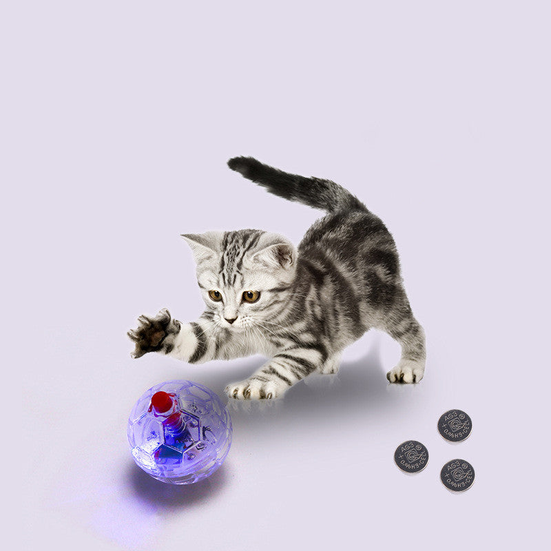 Fashion Glowing Transparent Ball Toy For Pets UK PET HOUSE