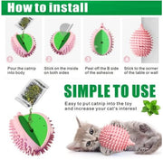 Feather Frenzy Teaser & Scratcher Cat Toy UK PET HOUSE