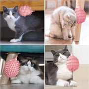 Feather Frenzy Teaser & Scratcher Cat Toy UK PET HOUSE