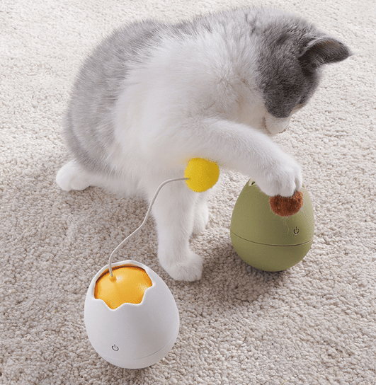 Feline Folly Funsters Interactive Egg Shell Cat Toy UK PET HOUSE