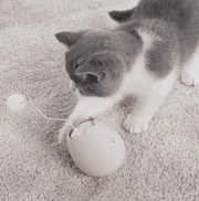 Feline Folly Funsters Interactive Egg Shell Cat Toy UK PET HOUSE