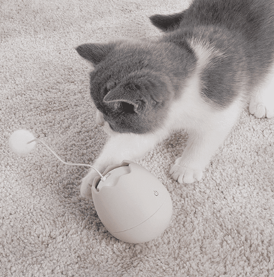 Feline Folly Funsters Interactive Egg Shell Cat Toy UK PET HOUSE