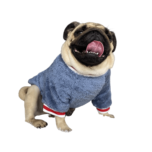 Fluffy Saturday Pet Sweater UK PET HOUSE