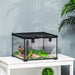 Glass Reptile Terrarium Habitats for Lizards, Frogs, Snake Pawhut UK PET HOUSE