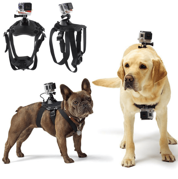 GoPro Hero Pet Strap Belt Harness UK PET HOUSE