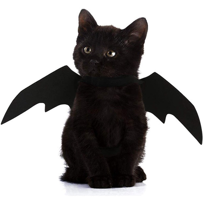 Halloween Bat Wings UK PET HOUSE