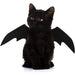 Halloween Bat Wings UK PET HOUSE