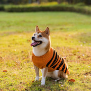 Halloween Dog Sweaters Pet Costume UK PET HOUSE