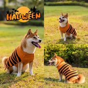 Halloween Dog Sweaters Pet Costume UK PET HOUSE